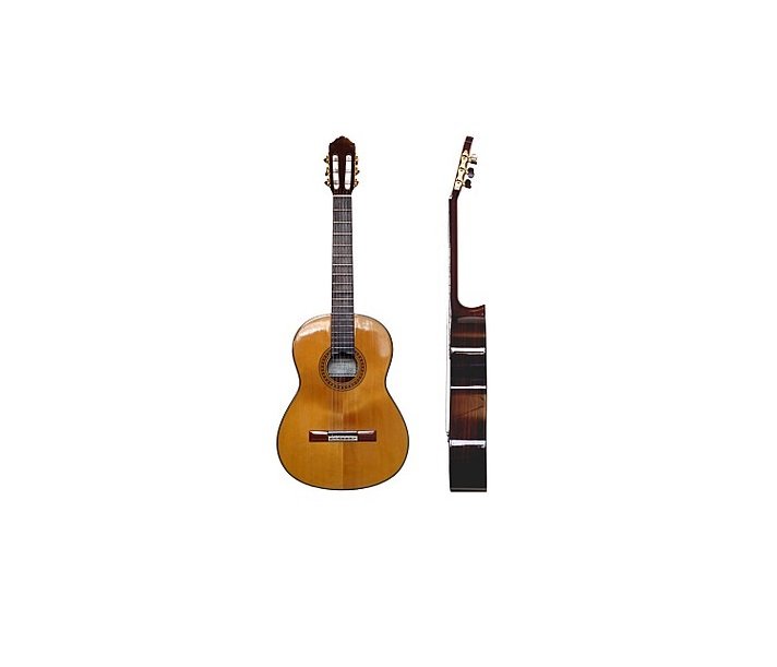 Guitarra Española